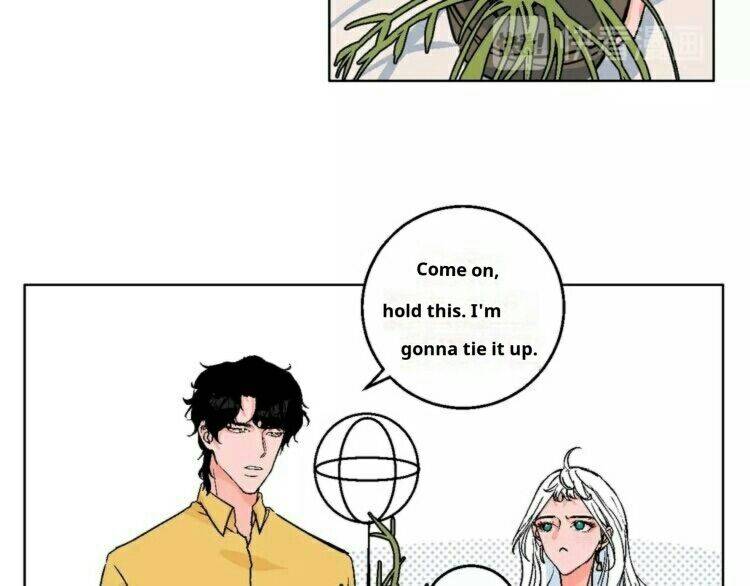 Page 13 of Chapter 34