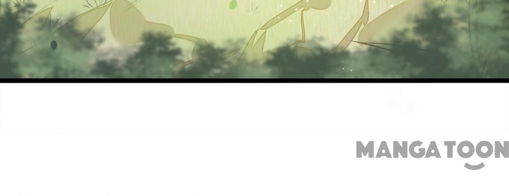 Page 34 of Chapter 2