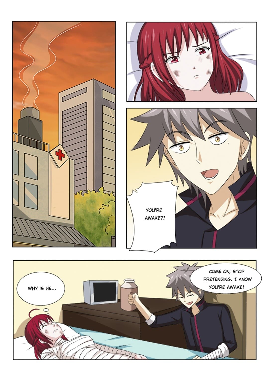 Page 4 of Chapter 163
