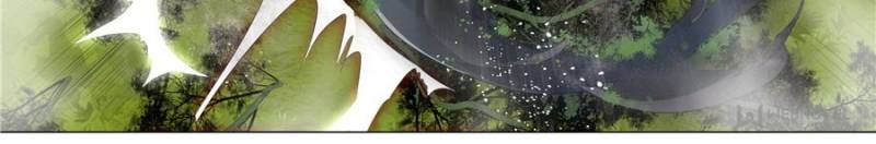 Page 10 of Chapter 107