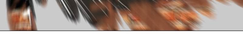 Page 18 of Chapter 57