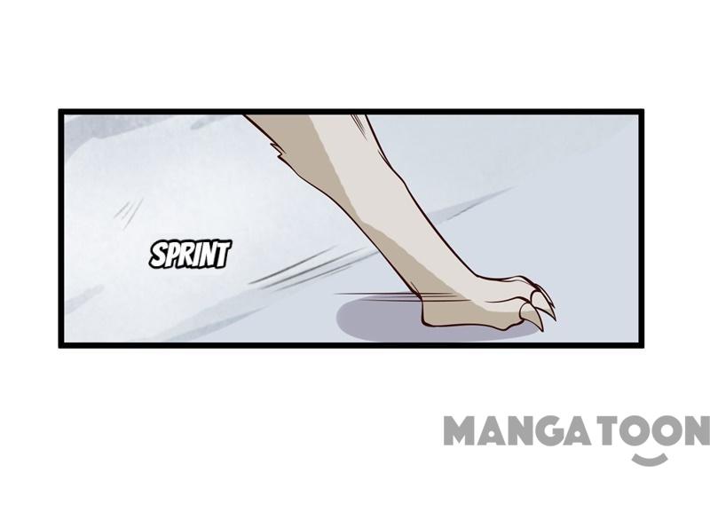 Page 13 of Chapter 17
