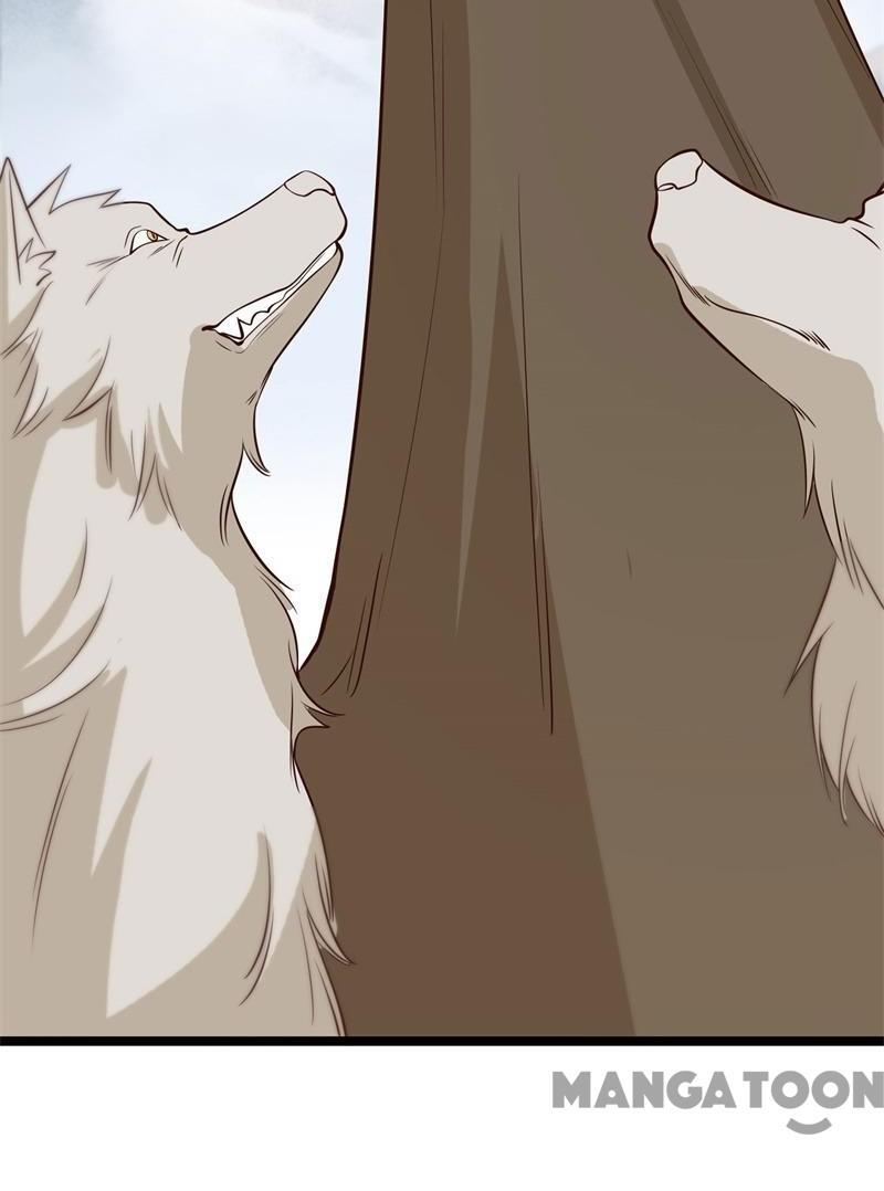 Page 17 of Chapter 17