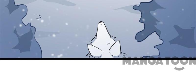 Page 25 of Chapter 17