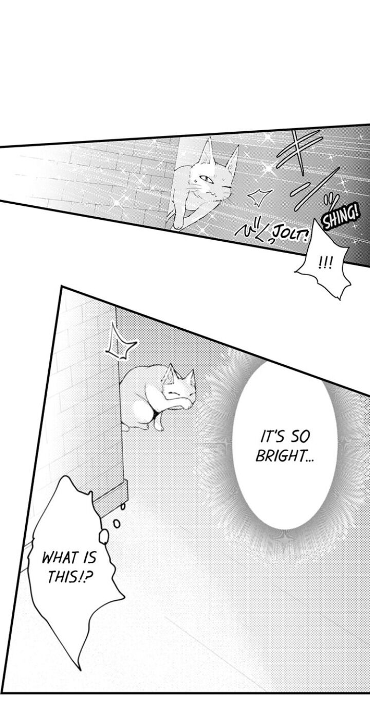 Page 9 of Chapter 58