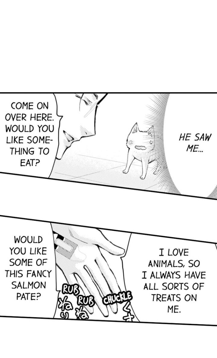 Page 17 of Chapter 58