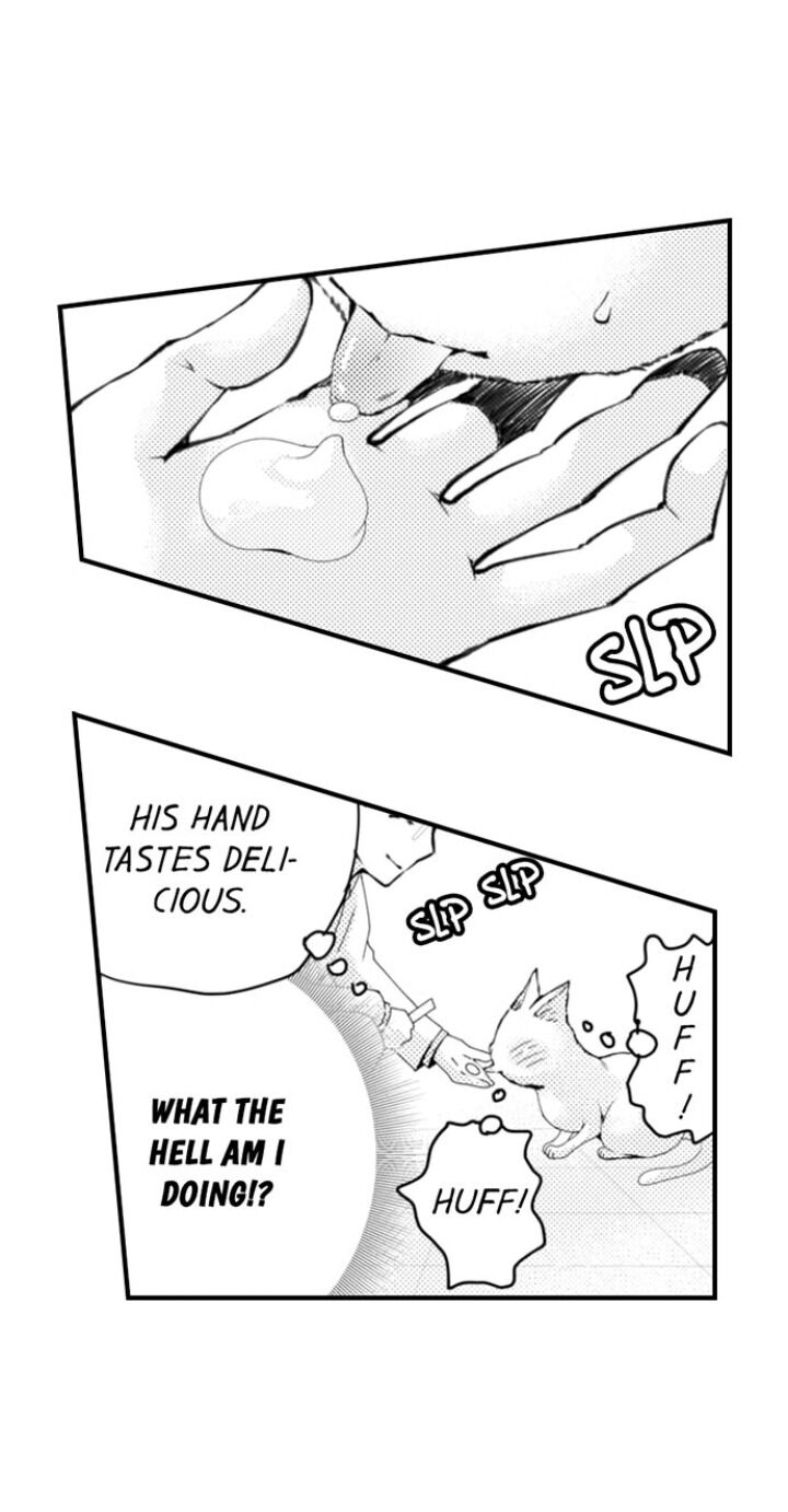 Page 19 of Chapter 58