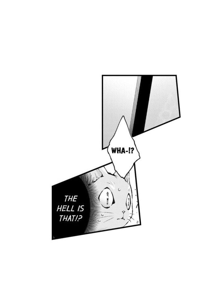 Page 19 of Chapter 62