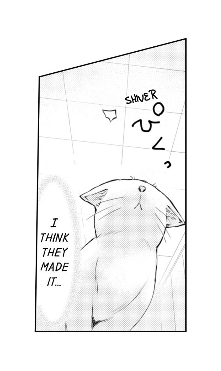 Page 16 of Chapter 65