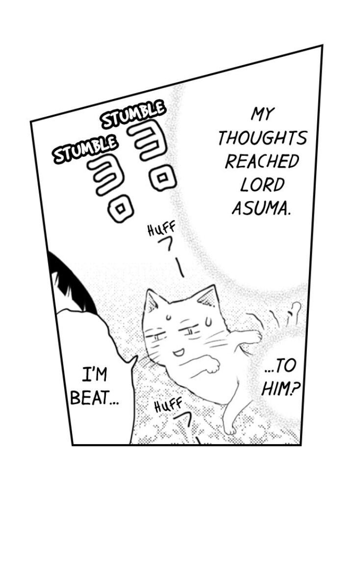 Page 17 of Chapter 65