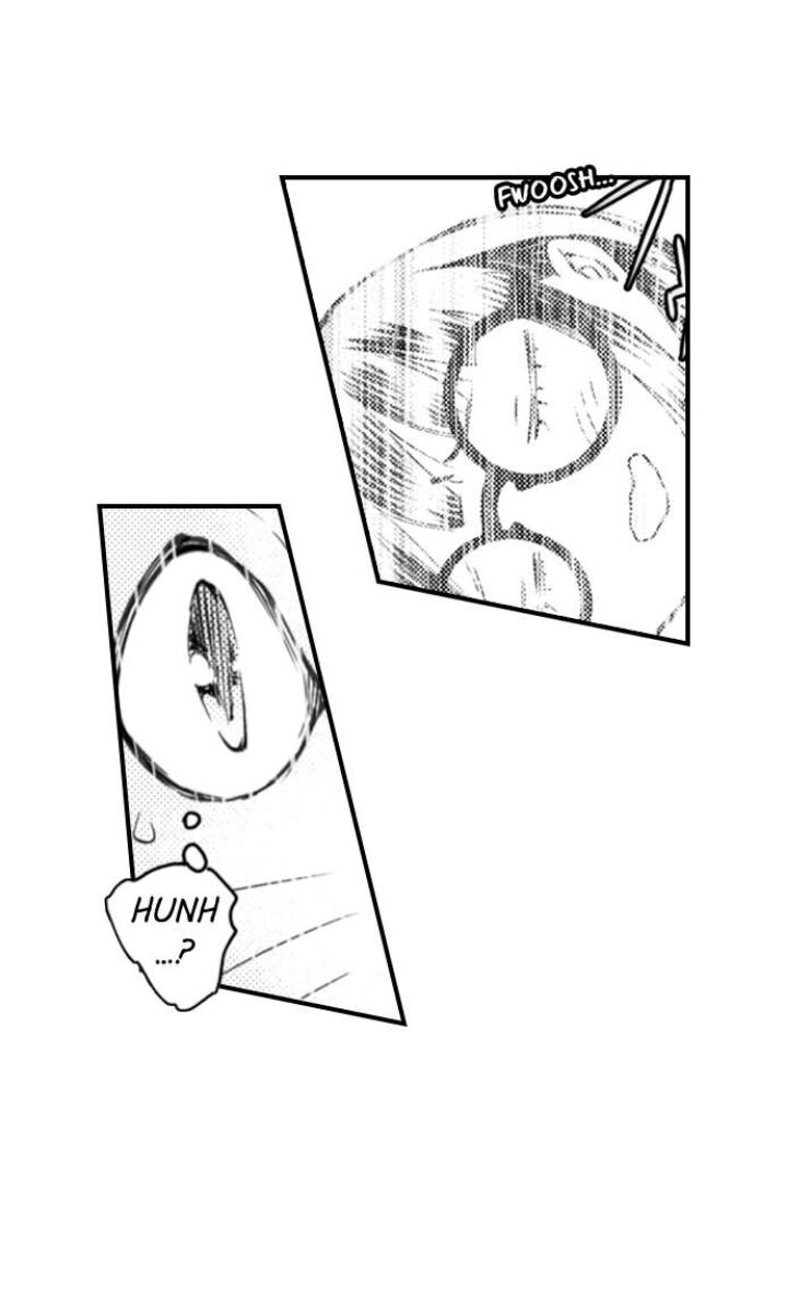 Page 4 of Chapter 71