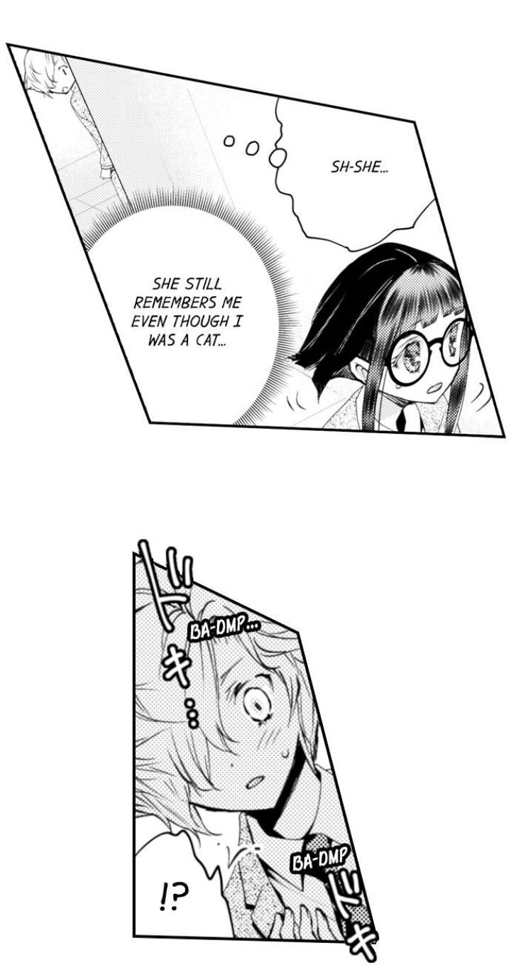 Page 36 of Chapter 74