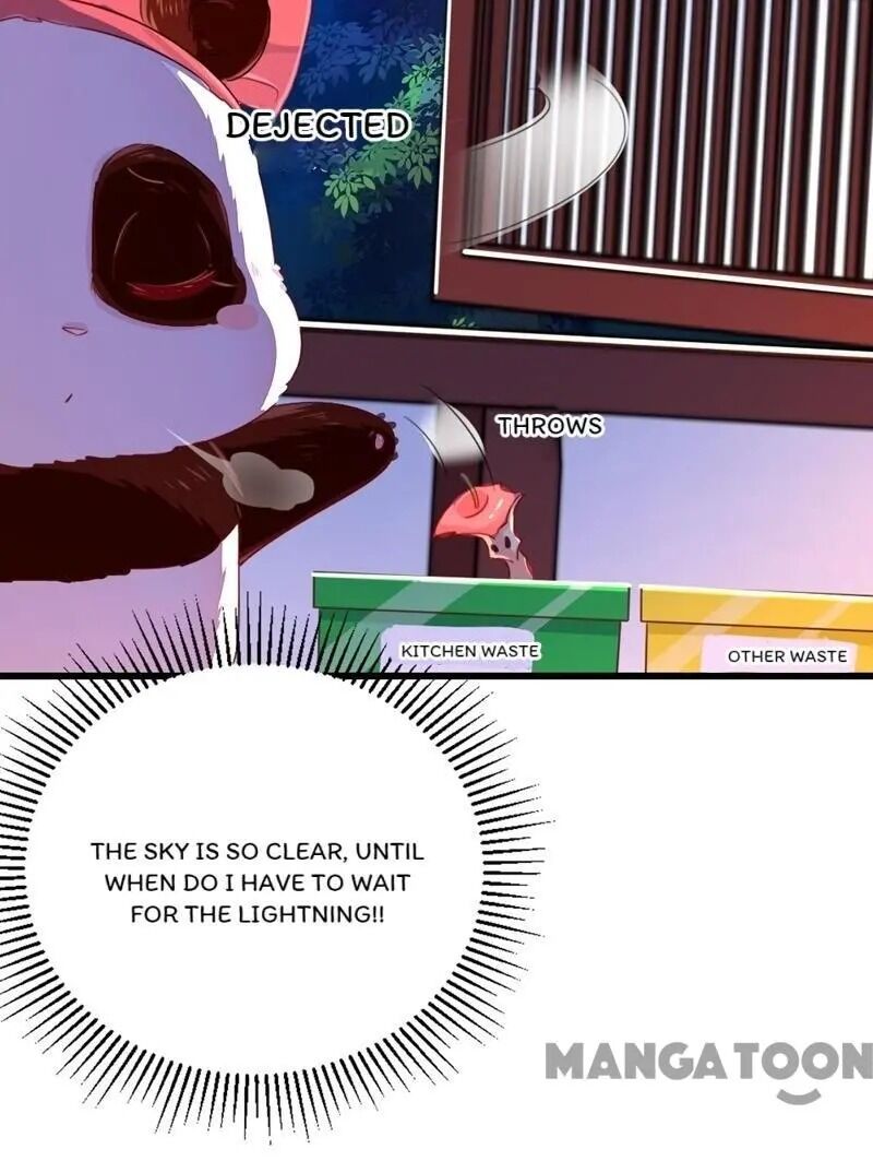 Page 25 of Chapter 12