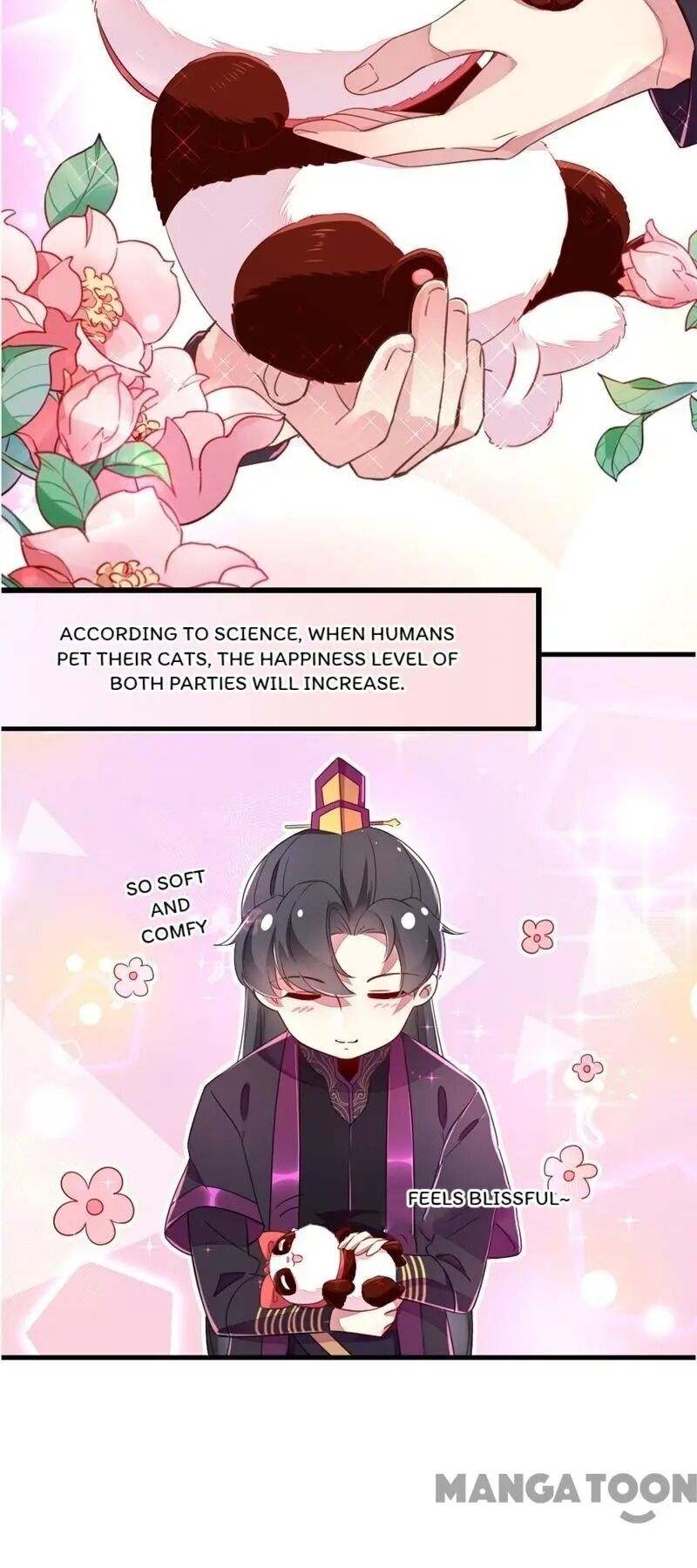 Page 7 of Chapter 13