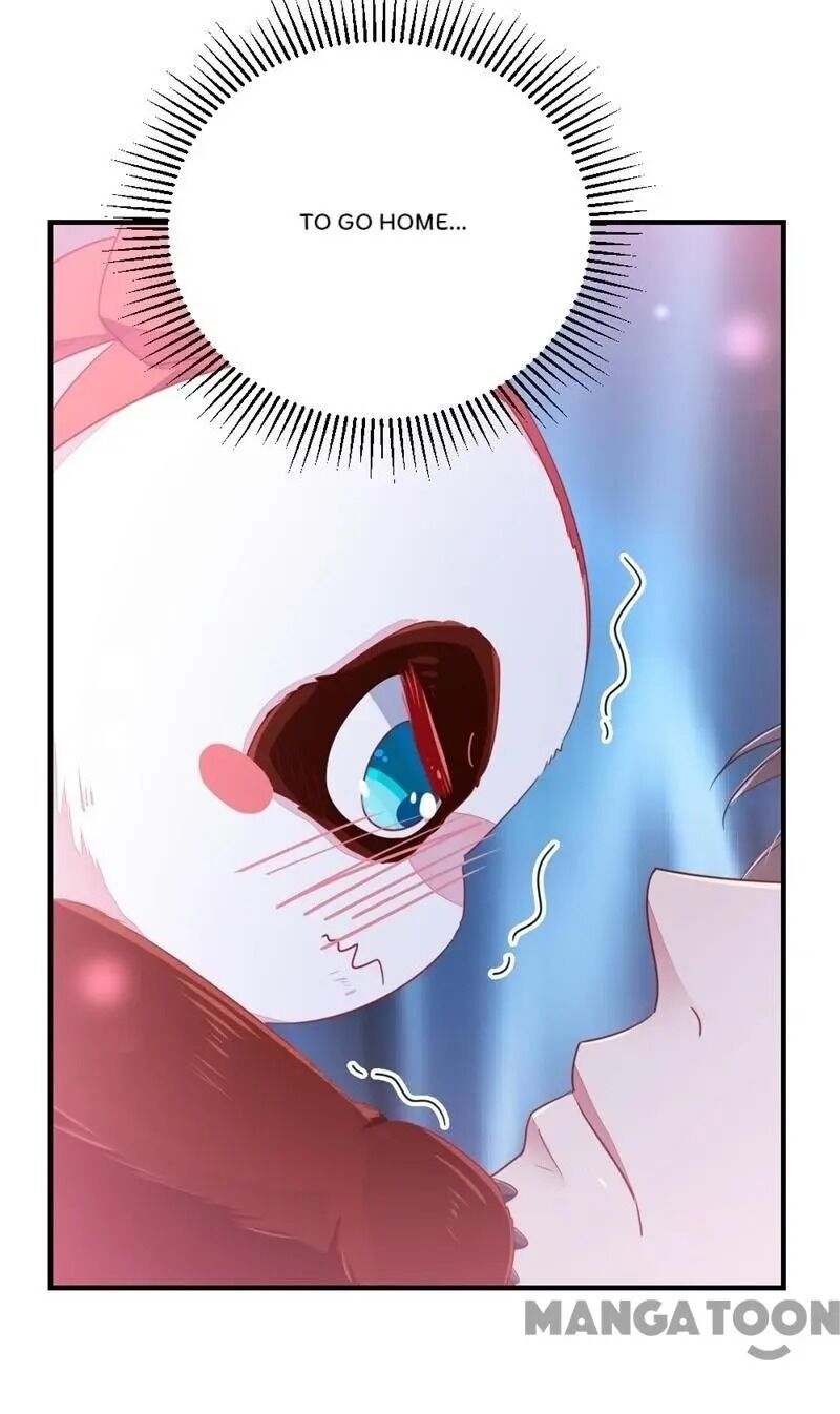 Page 6 of Chapter 15