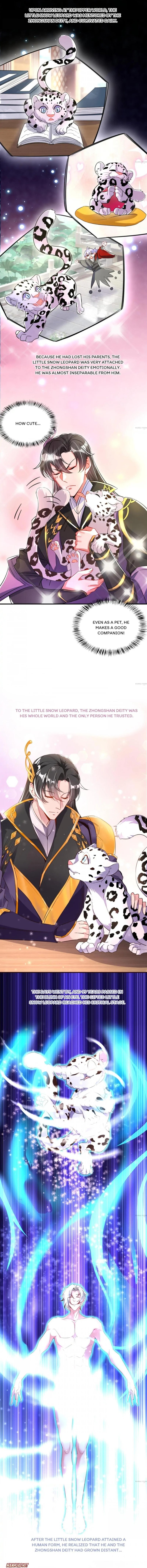 Page 5 of Chapter 155