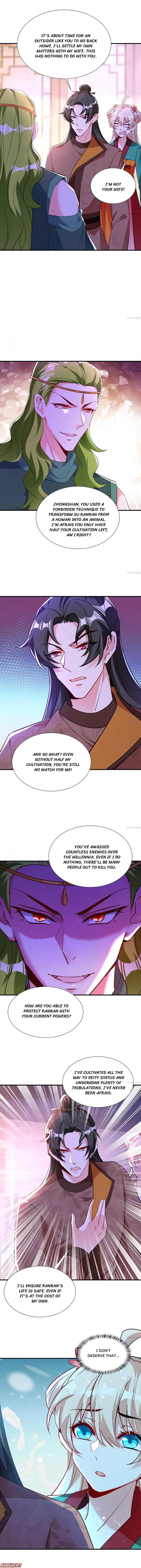 Page 4 of Chapter 204