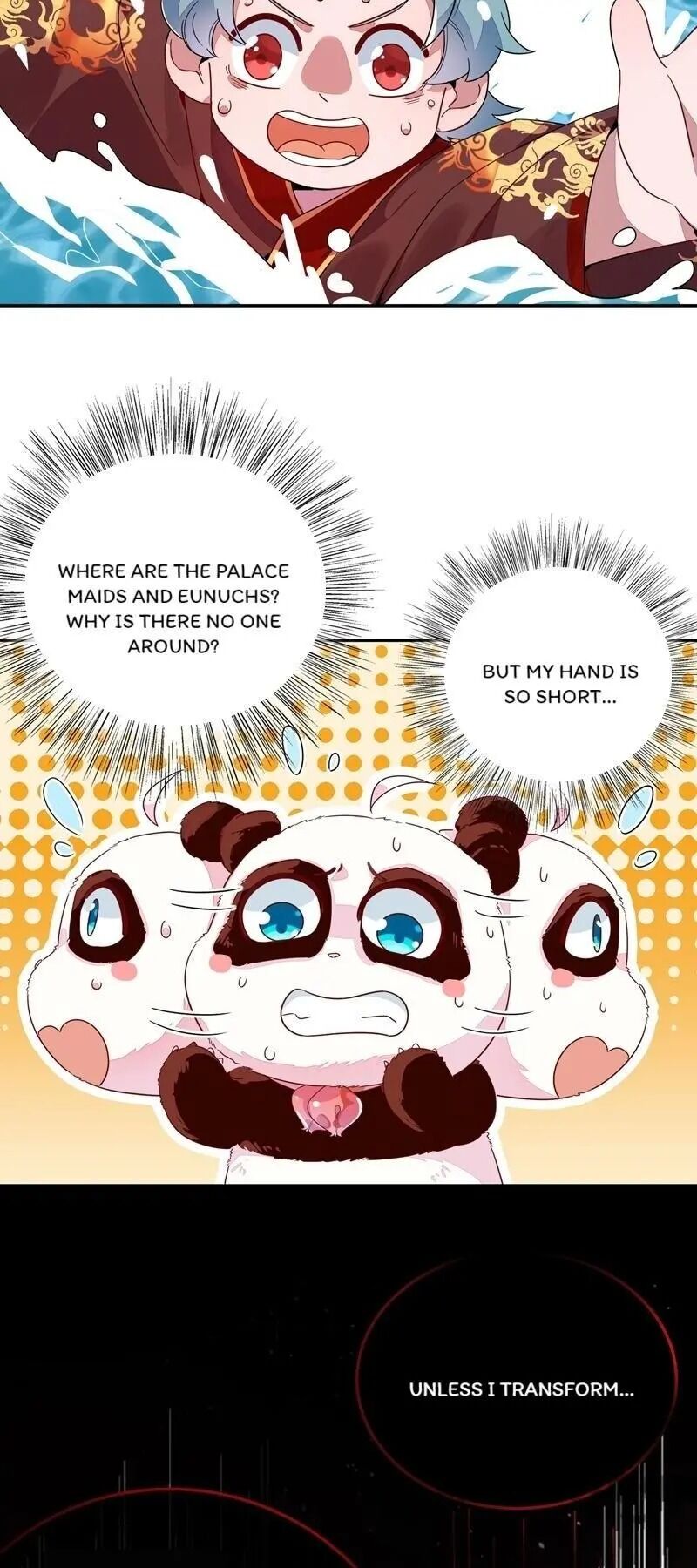 Page 17 of Chapter 24
