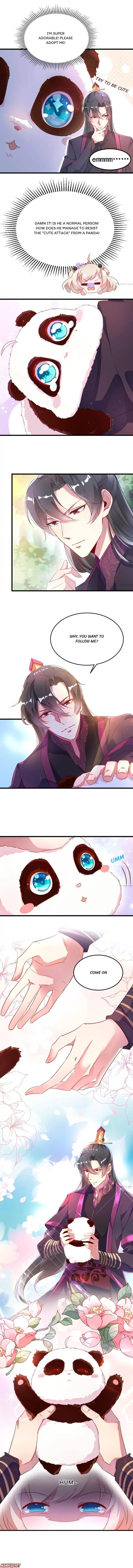 Page 5 of Chapter 3