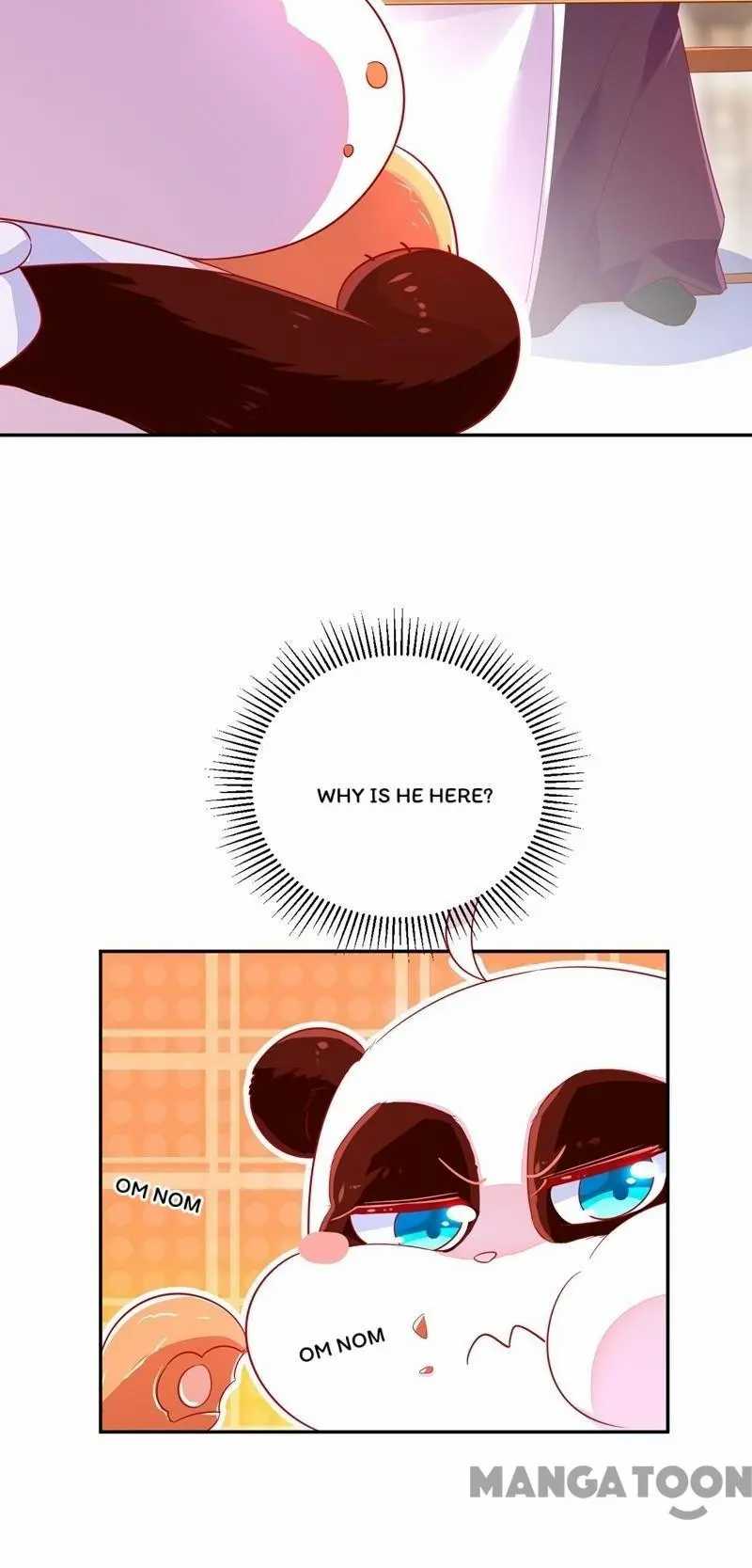 Page 29 of Chapter 33