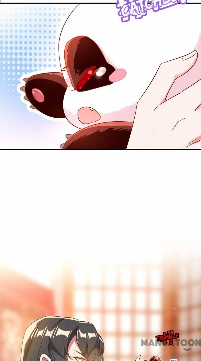 Page 36 of Chapter 43