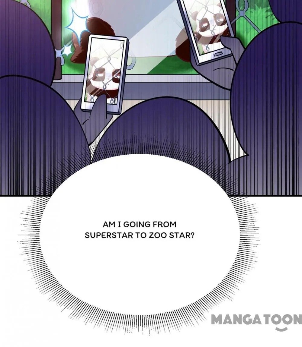 Page 6 of Chapter 84