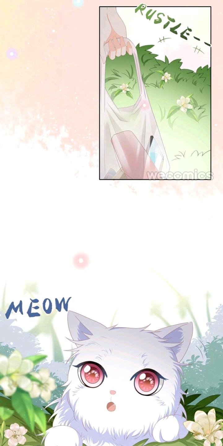 Page 7 of Chapter 11