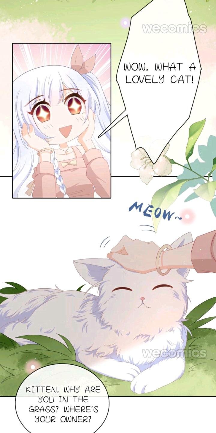 Page 8 of Chapter 11
