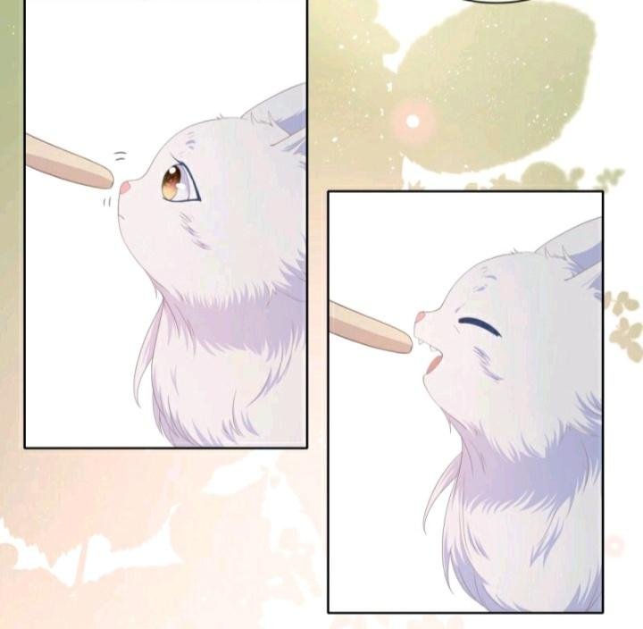 Page 10 of Chapter 11