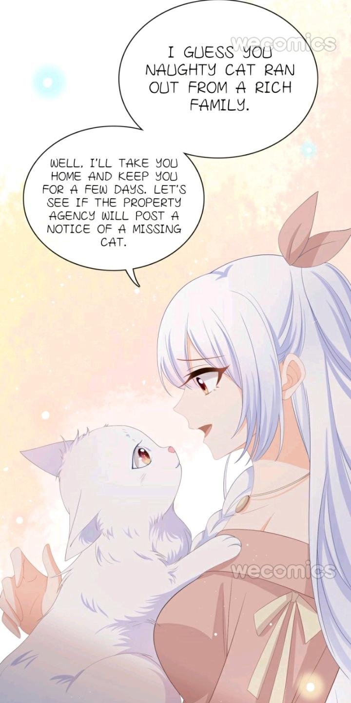 Page 13 of Chapter 11