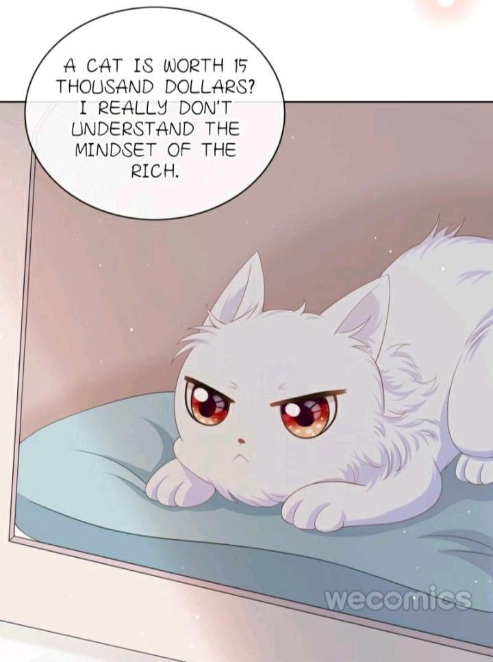 Page 6 of Chapter 13