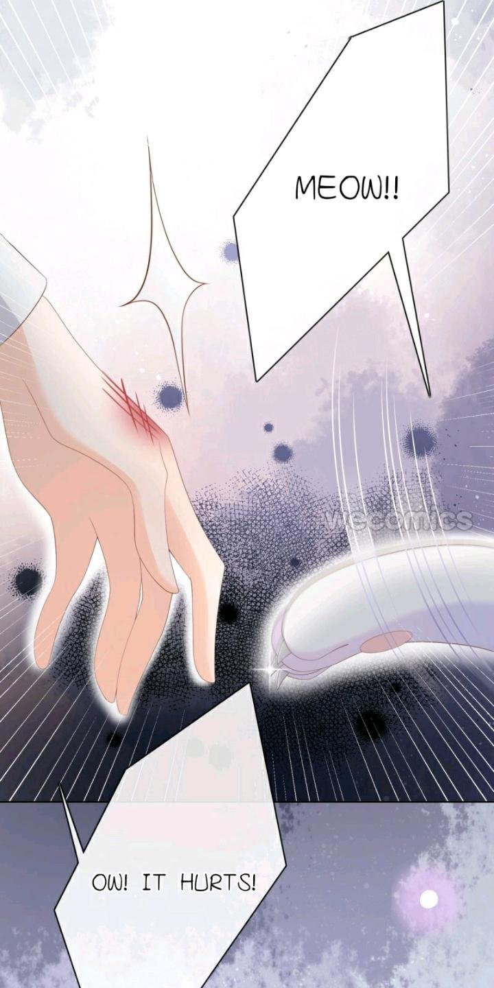 Page 8 of Chapter 13