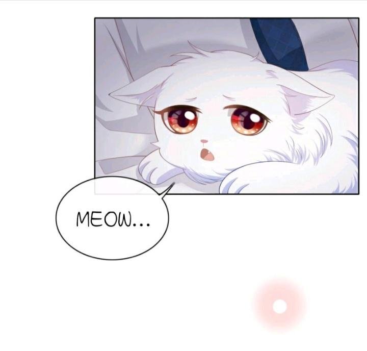 Page 15 of Chapter 13