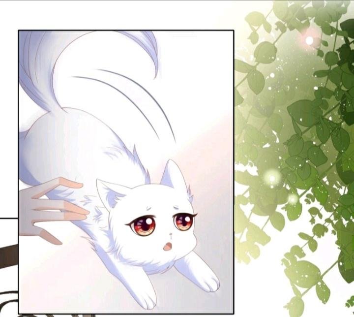 Page 16 of Chapter 13