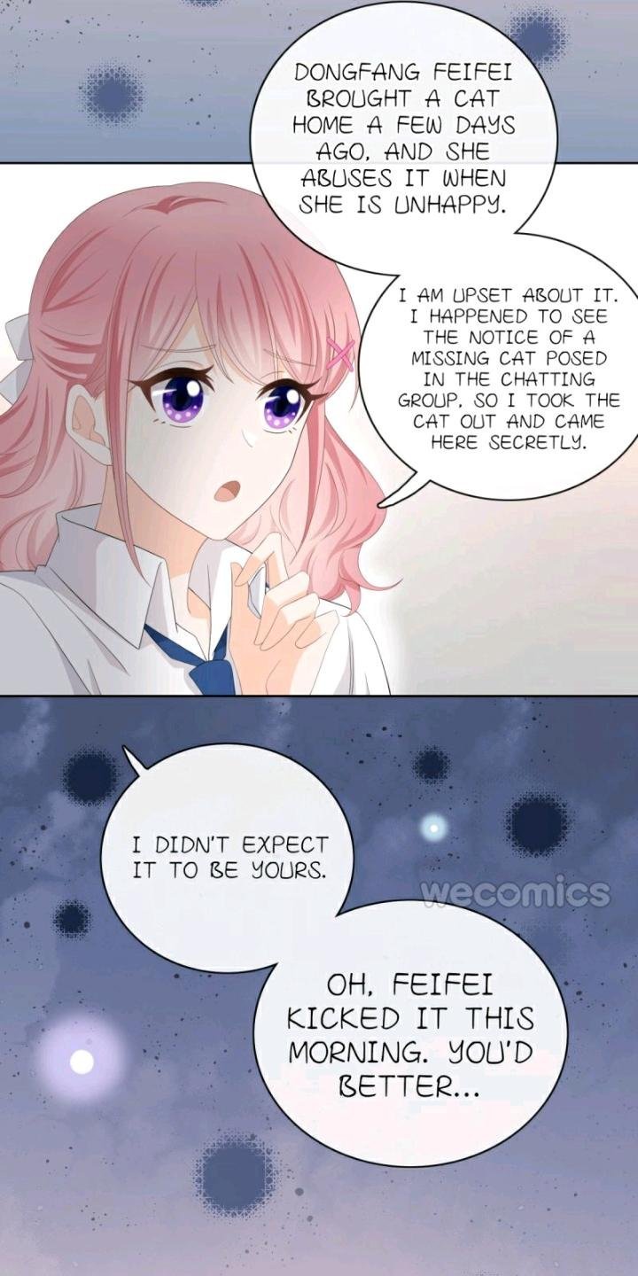 Page 19 of Chapter 13