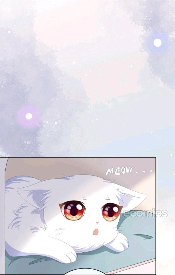 Page 24 of Chapter 13