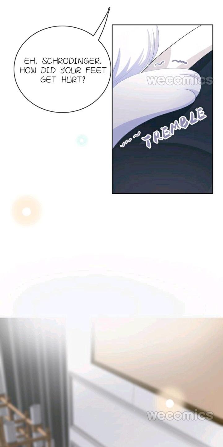 Page 26 of Chapter 13
