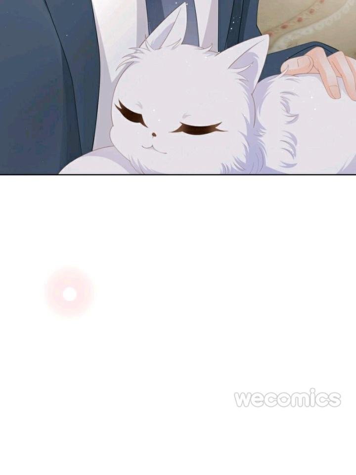 Page 12 of Chapter 14