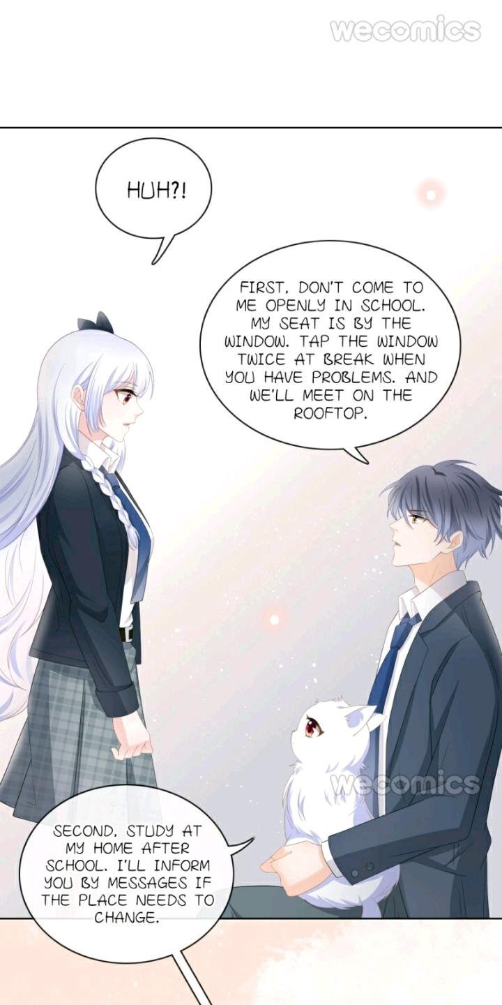 Page 20 of Chapter 14