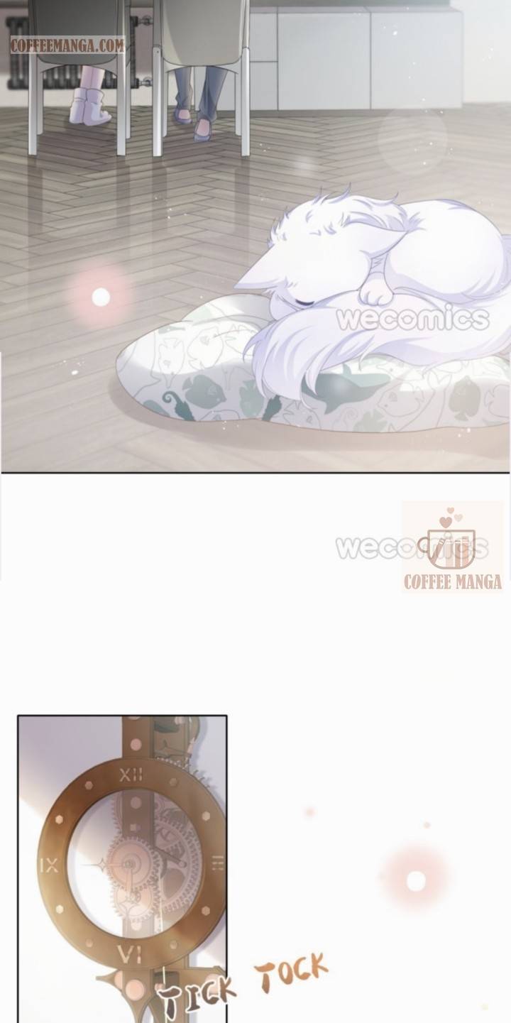 Page 6 of Chapter 20