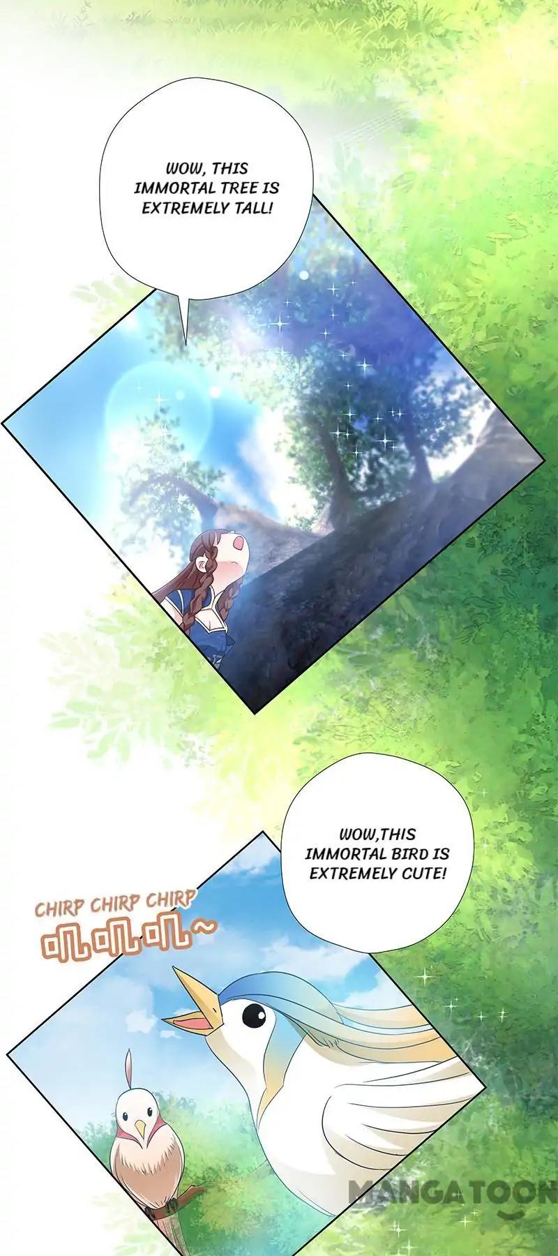 Page 3 of Chapter 13