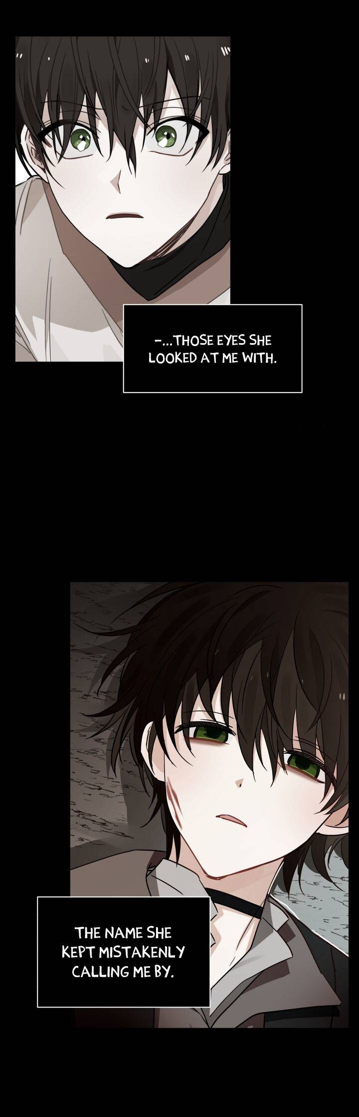 Page 25 of Chapter 101