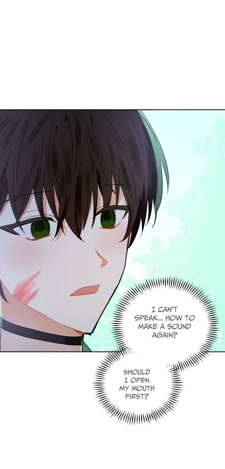 Page 14 of Chapter 109