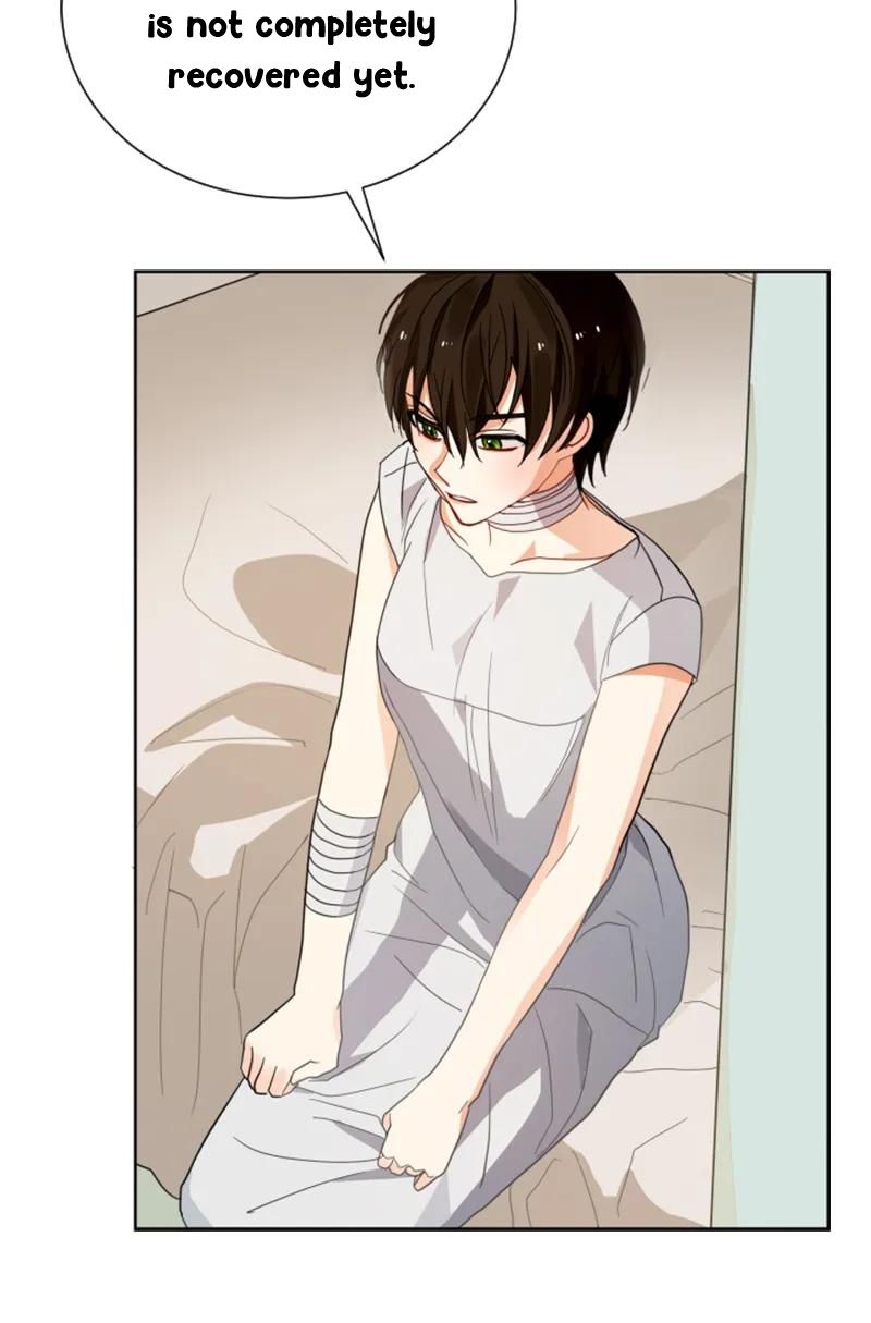 Page 29 of Chapter 58