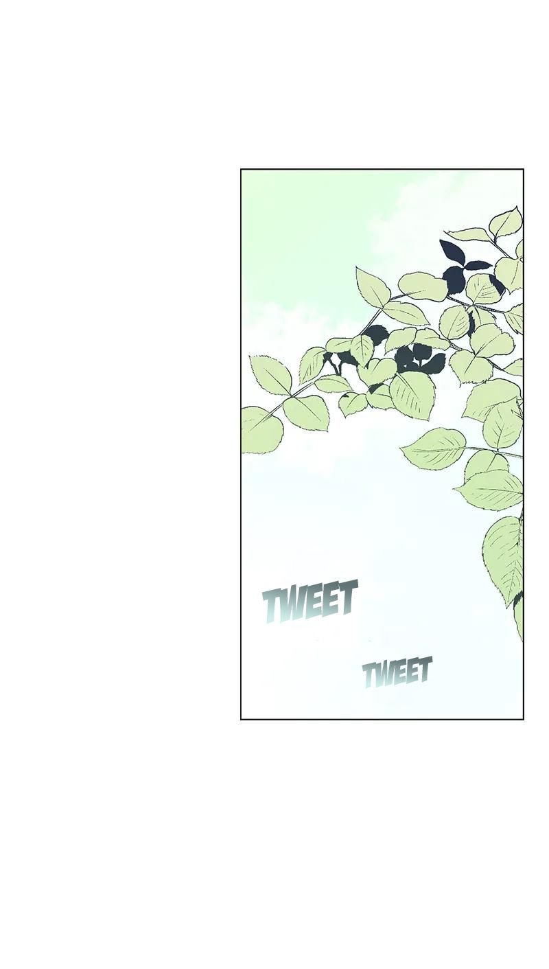 Page 41 of Chapter 60