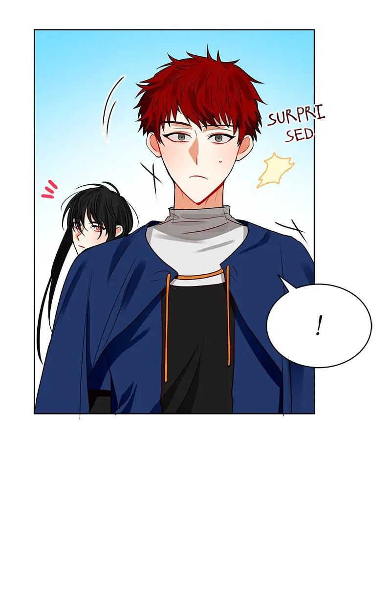 Page 43 of Chapter 74