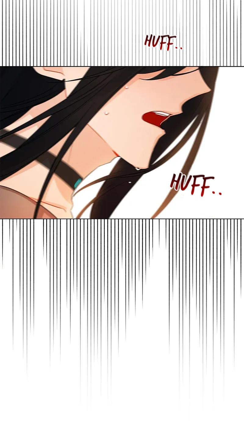 Page 48 of Chapter 74