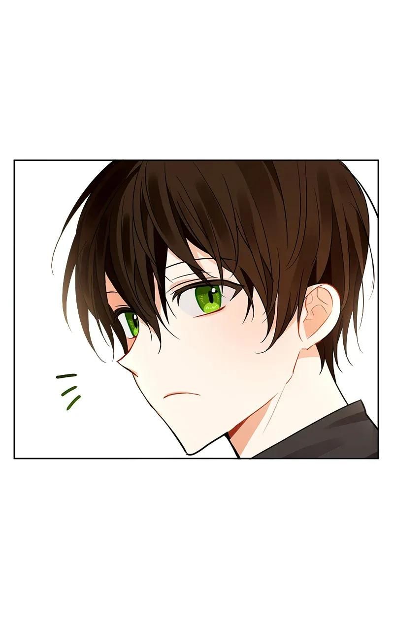 Page 55 of Chapter 74