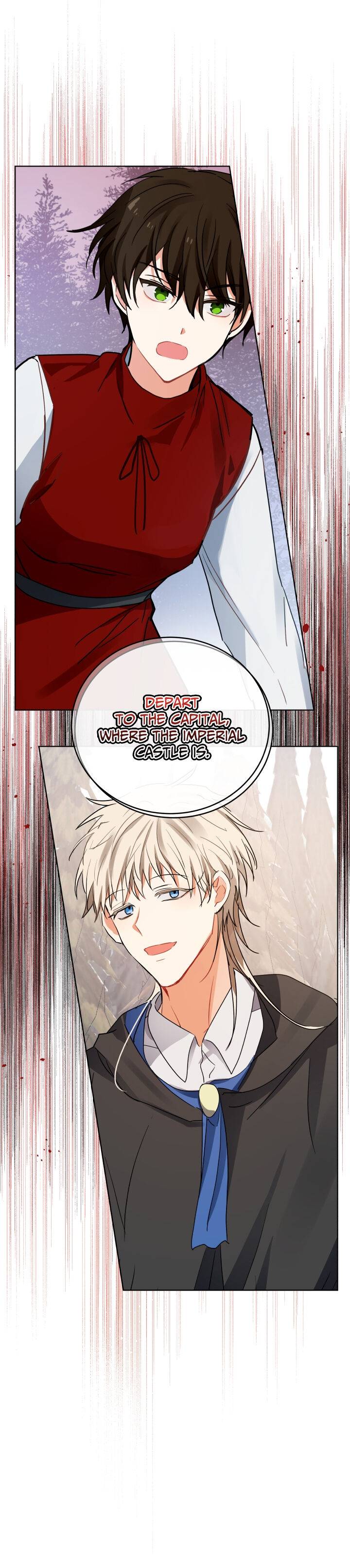 Page 31 of Chapter 95