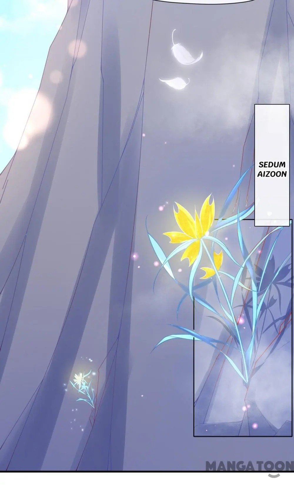Page 14 of Chapter 24